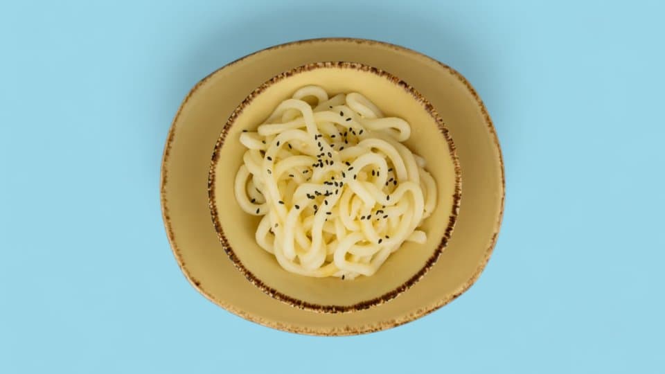 44. Udonnudeln